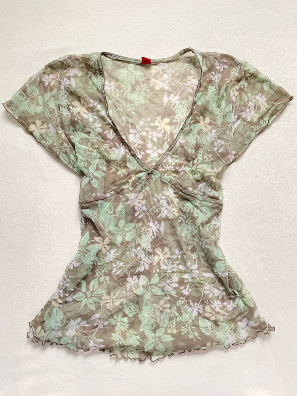 Y2K Floral V-Neck Sheer Top in Mint and Taupe